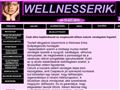 http://wellnesserikamasszazs.hu/index.html ismertető oldala